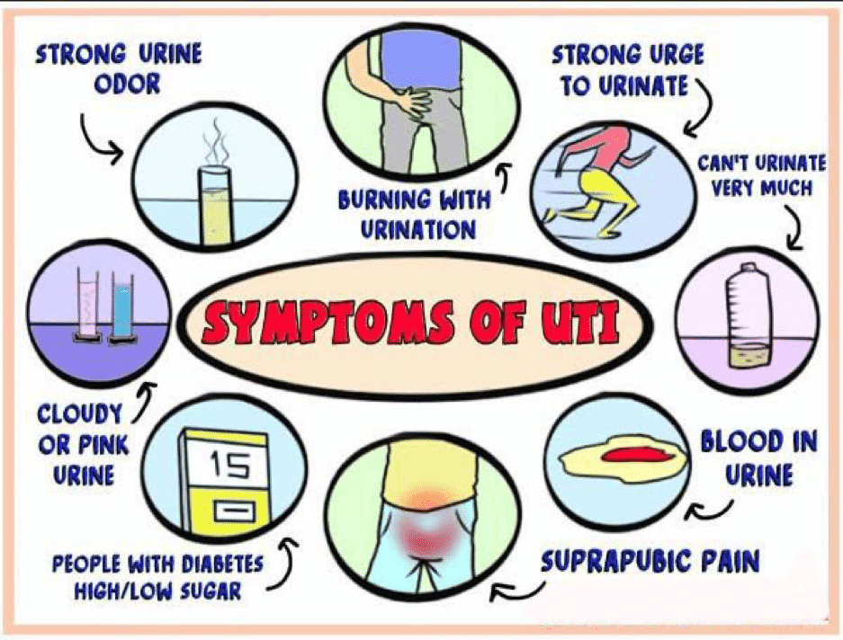 Urinary tract infection symptoms 