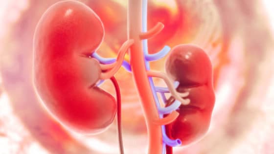 What You Need to Know About Kidney Problems